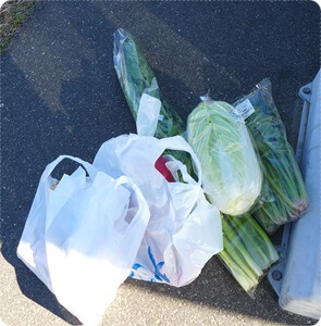 道の駅・水の郷さわらで、産直野菜をたくさん購入しました(^^)～香取神宮めぐり