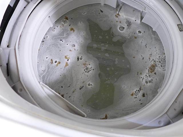 水を張った状態で洗濯槽の側面をスポンジで擦ってみると、水の循環だけでは落としきれていなかったと思われるワカメがこれまた大量に。